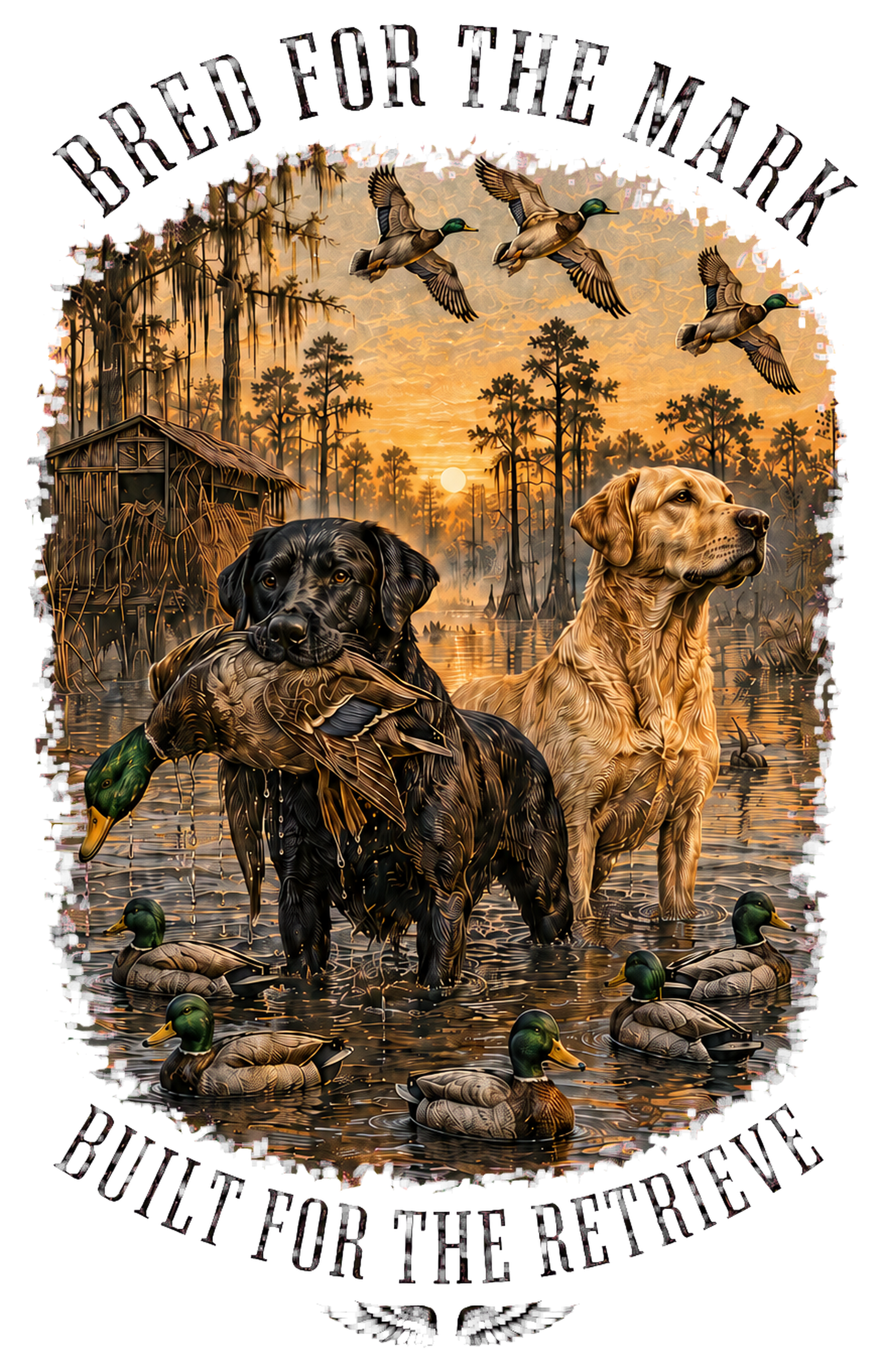 Labrador Retriever